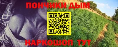 крисы Шахты