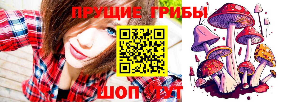 Псилоцибиновые грибы ЛСД Тольятти