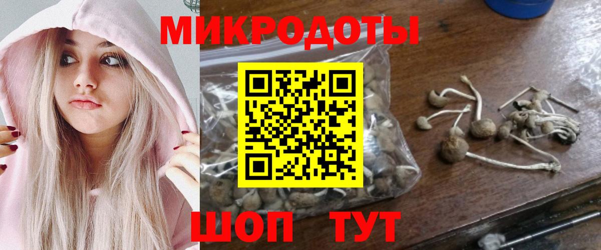 Псилоцибиновые грибы мицелий  Вход с VPN  Тольятти 